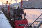 Cámaras empresarias anuncian que buques fresqueros no participarán de la temporada de langostino en aguas nacionales