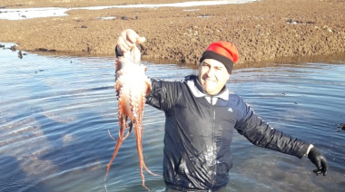 Fin de la temporada de pulpo en Comodoro Rivadavia