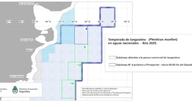 Realizarán una nueva prospección de langostino en la Subárea 4