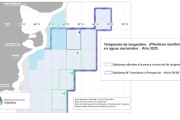 Realizarán una nueva prospección de langostino en la Subárea 4