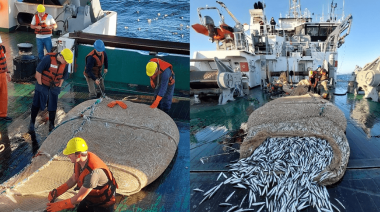 Nueva campaña de evaluación argentino-uruguaya del efectivo norte de anchoíta