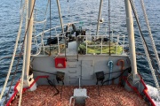La noticia más esperada: El 15 de abril arranca la pesca de langostino al norte 