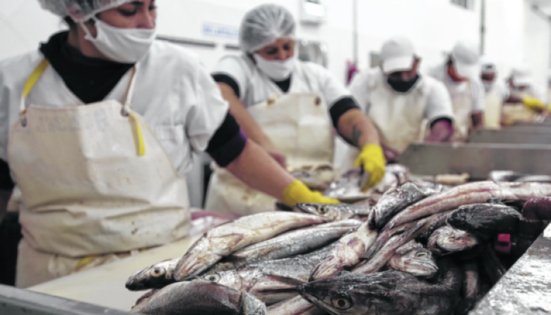 Trabajadores de plantas pesqueras de Deseado iniciaron medida de fuerza