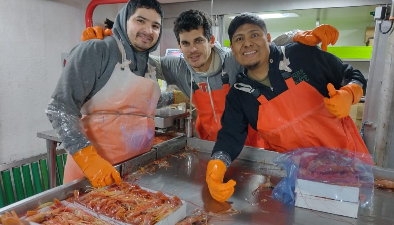Empresas marplatenses piden la apertura de langostino al norte