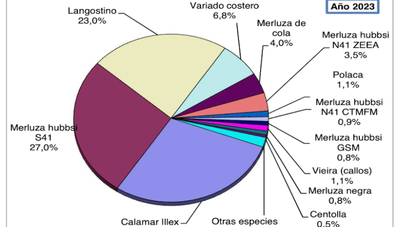 No sólo Deseado sufre la caía de los desembarques de calamar