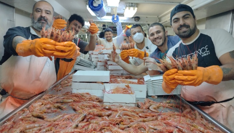 Excelentes capturas en las tres áreas donde se realiza la prospección de langostino