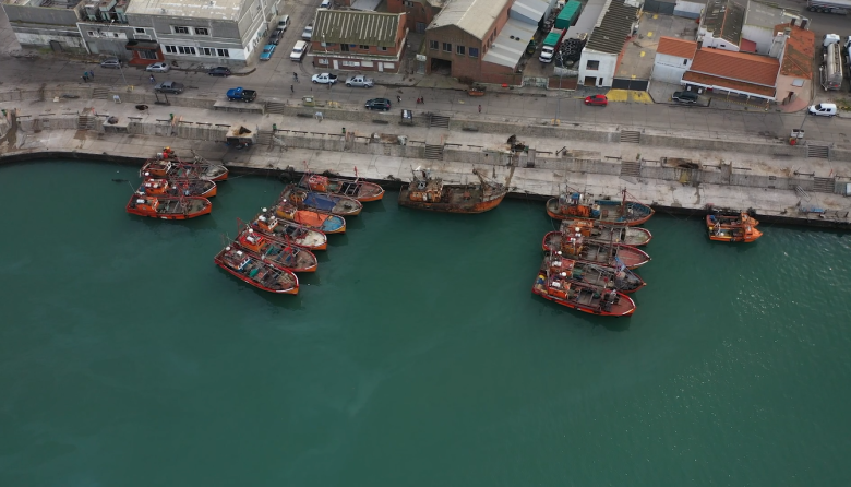Se realiza en Mar del Plata un taller de la iniciativa de la FAO “Puertos Pesqueros Azules y Desarrollo Sostenible en Argentina”