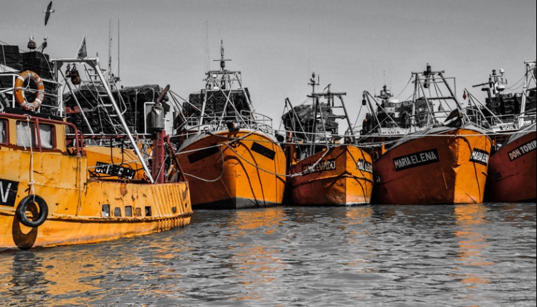 CAPIP advierte que peligra la temporada de langostino en Rawson