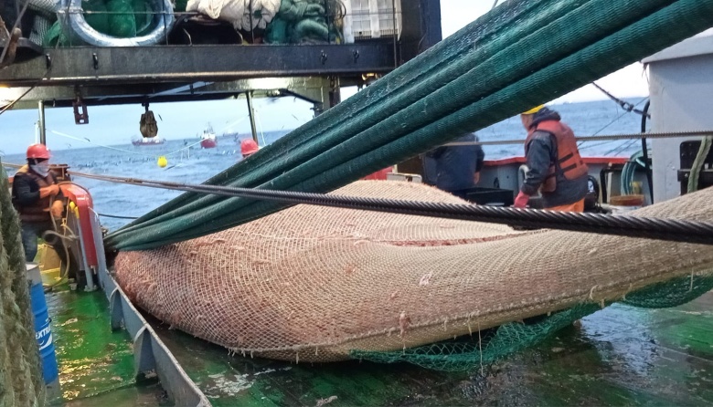 Habilitan nueva subárea para la pesca de langostino en aguas nacionales 