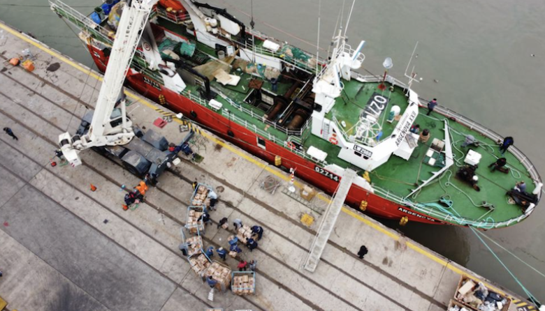 Puerto Frío impulsa el crecimiento de las descargas pesqueras en Bahía Blanca