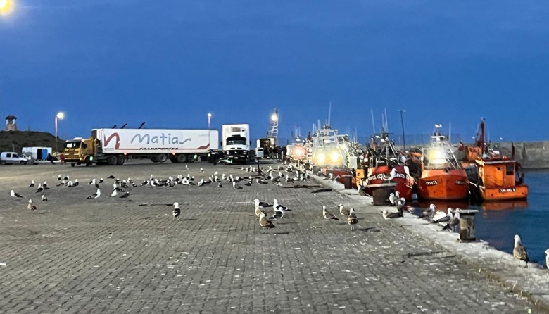 Marineros de Caleta Paula denuncian abandono por parte del SOMU