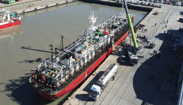 Lejos de Deseado: Buques de Argenova engrosan las descargas de calamar en el puerto de Bahía Blanca