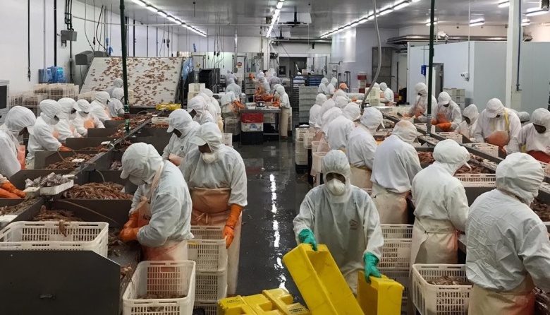 Santa Cruz reclama mayor cupo social de langostino