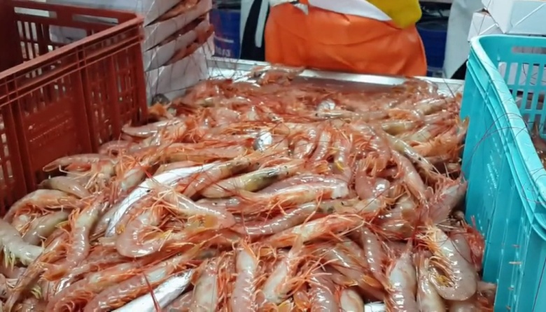 El Consejo Federal Pesquero solicitó al INIDEP el diseño de una prospección de langostino