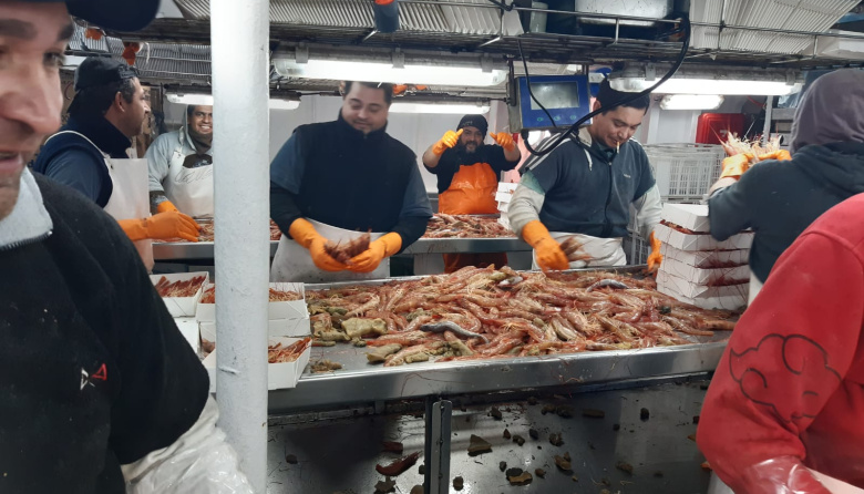 No hubo acuerdo entre el SOMU y las cámaras empresarias por salarios del langostino