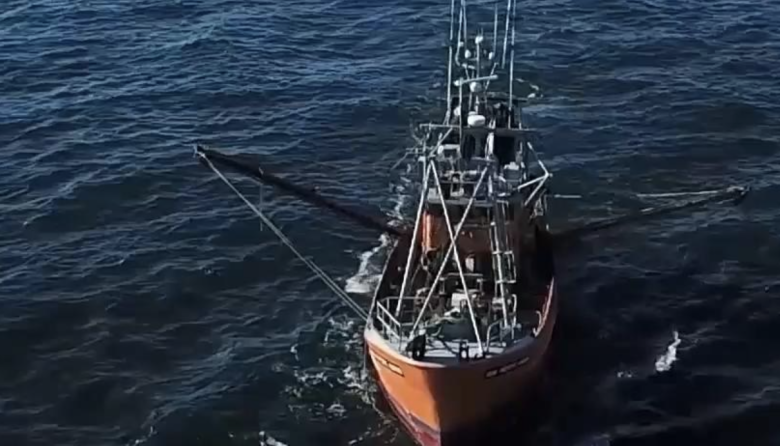 Langostino: Conarpesa prepara su flota para salir a la pesca el 23 de julio