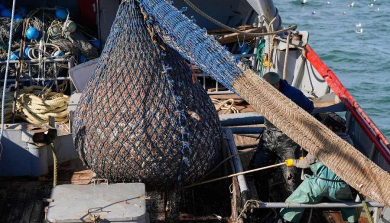 Chubut y Santa Cruz lograron aumento del cupo social de langostino por mantener la veda del Golfo San Jorge