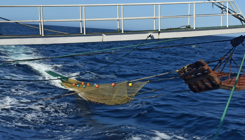 Arranca hoy una nueva prospección de langostino