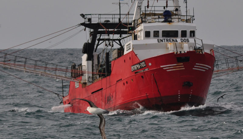 Fin de la temporada de langostino en la zona de veda
