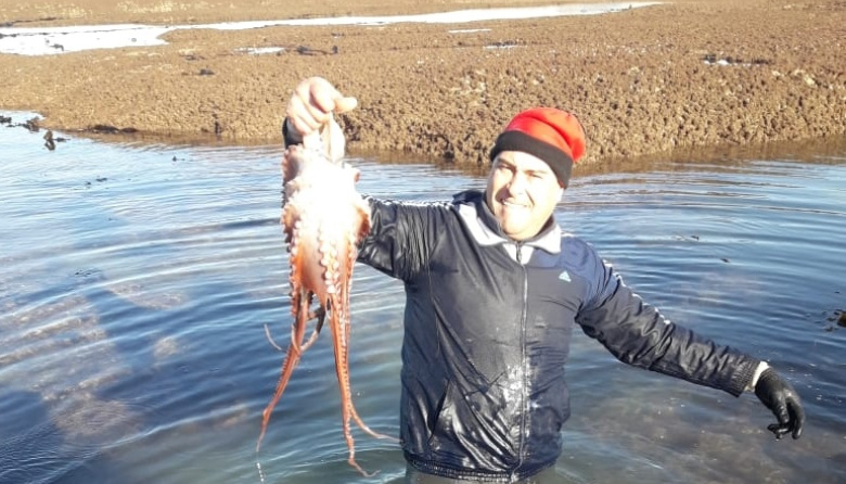 Fin de la temporada de pulpo en Comodoro Rivadavia