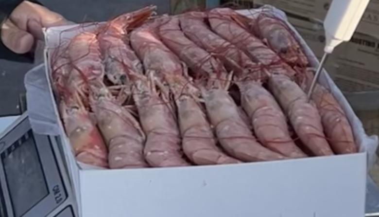 El langostino argentino fue certificado por el Marine Stewardship Council