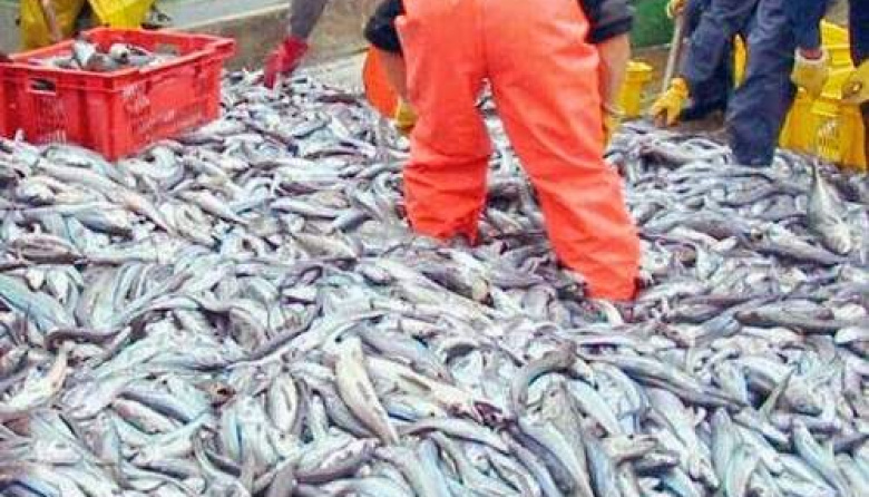 Asignan a Santa Cruz 1.200 toneladas de merluza de la Reserva Social para 2026