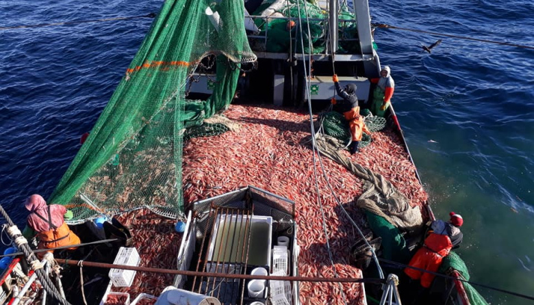 El Concejo Deliberante de Puerto Deseado presentó un pedido de informes impulsado por el bloque Unión por la Patria por el uso del cupo de langostino