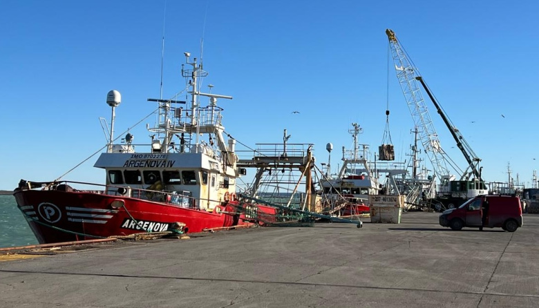 Langostino: Puerto Deseado toca fondo con caída de los desembarques mientras Madryn consolida su dominio 