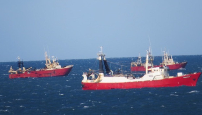 La apertura de la pesca de langostino al norte sería el 15 de abril