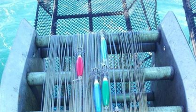 Habilitan la pesca de calamar al norte del paralelo 44°S