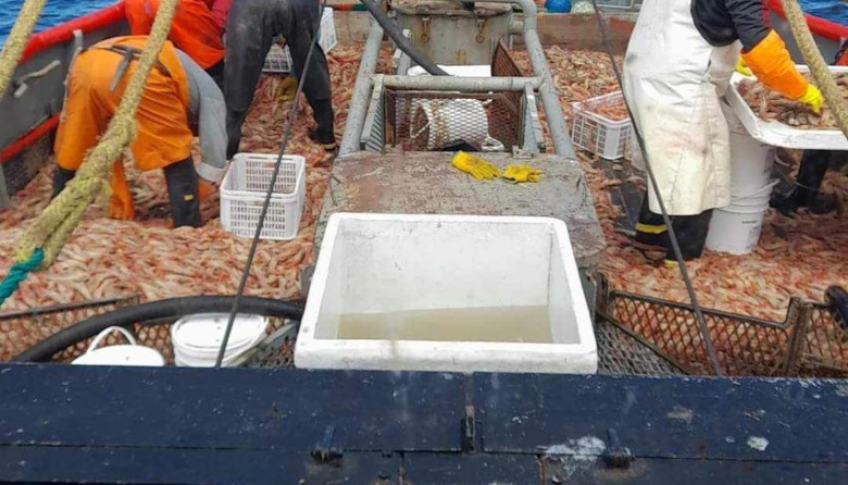 Conarpesa comunica valores para la temporada 2026 y convoca a tripulantes para salir el próximo 15 de abril norte del paralelo 41