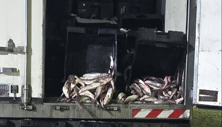 Denunció al Ministerio de Seguridad la fuga de merluza tras no recibir respuesta en Pesca