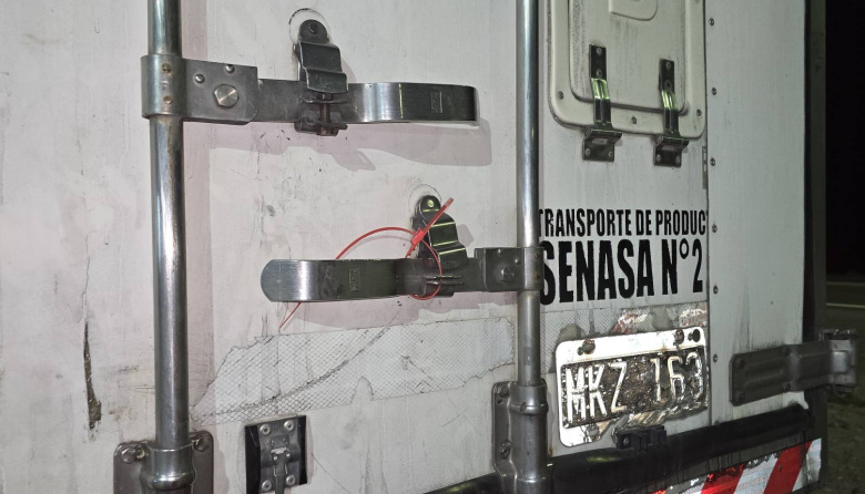 Aclaran detalles del operativo por traslado de merluza sin procesar a Mar del Plata y precisan cómo se inició la investigación