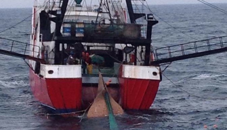  La prospección de langostino en la zona de veda podría comenzar en la última semana de mayo