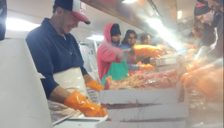 Varios barcos de Puerto Deseado manifestaron interés en participar de la prospección de langostino