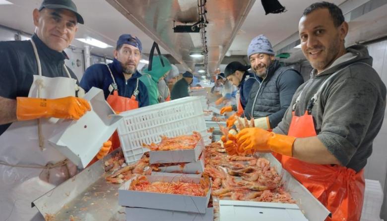Quedó habilitada a partir de ahora la pesca de langostino en las cuatro subáreas prospectadas