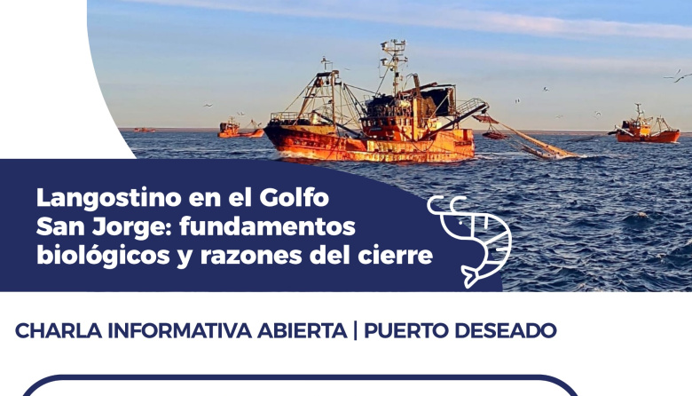 Puerto Deseado: Invitan a charla abierta sobre el langostino en el Golfo San Jorge con especialistas del INIDEP