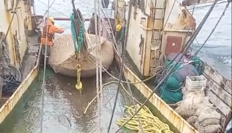 Habilitan dos nuevas subáreas para la pesca de langostino y Puerto Deseado suma descargas