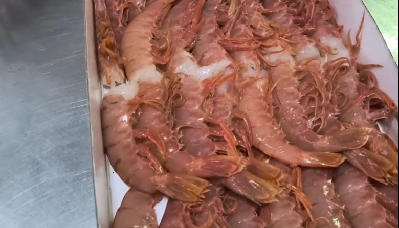 El Consejo Federal Pesquero dio luz verde al aumento del procesamiento de colas de langostino a bordo
