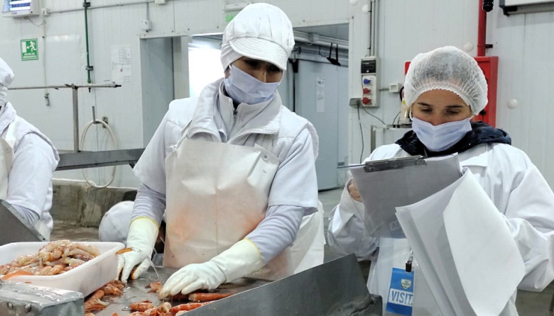 Buscan mejorar los indicadores socio laborales en la pesca