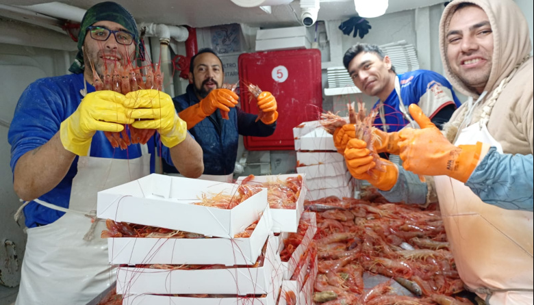 Habilitan la pesca de langostino solo en la mitad este de la Subárea 12