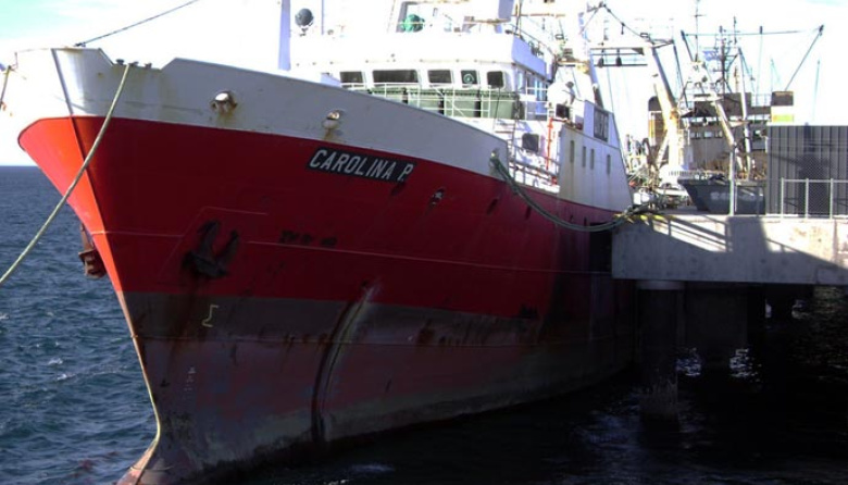 El Consejo Federal Pesquero rechazó aumentar la captura incidental de calamar para la flota arrastrera