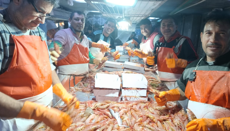 Pesca Nación pidió al INIDEP diseñar una prospección de langostino en las Subáreas 7 y 9