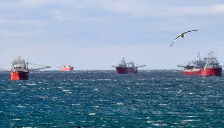 Crece la incertidumbre por el langostino y advierten que la temporada podría entrar en su tramo final