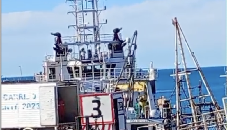 Escándalo por el saqueo de un buque en Caleta Paula, ahora se conoció que el retiro de piezas estaba autorizado 