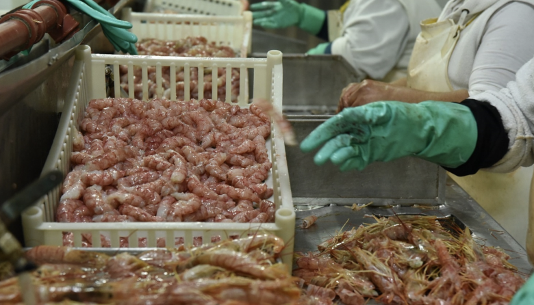 El langostino empujó los desembarques pesqueros y acumula una suba del 121% en 2026