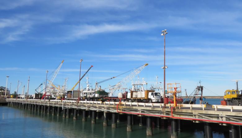 Santa Cruz celebra récord de langostino y consolida su actividad