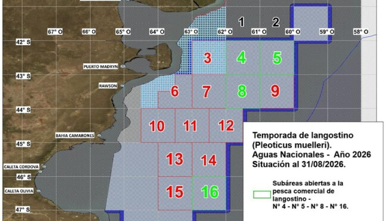 Cierran por ingreso de merluza una de las subáreas que Santa Cruz pedía mantener abierta hasta el final de la temporada