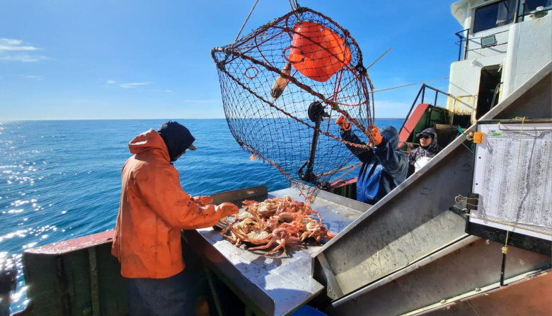 Proyectan nuevas campañas para evaluar la centolla