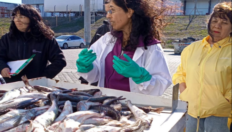 El INIDEP capacitó en Caleta Olivia a observadores y fiscalizadores pesqueros